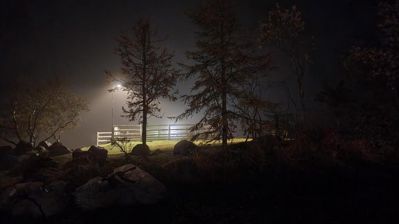 Karuna Affittacamere Saudarkrokur